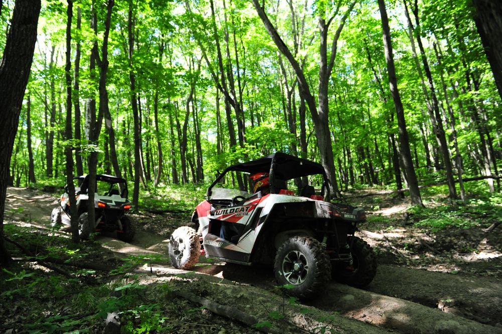 Wildcat and ATV riding in Foot Hills State Forest. Photo by ArcticInsider & Pat Bourgeois