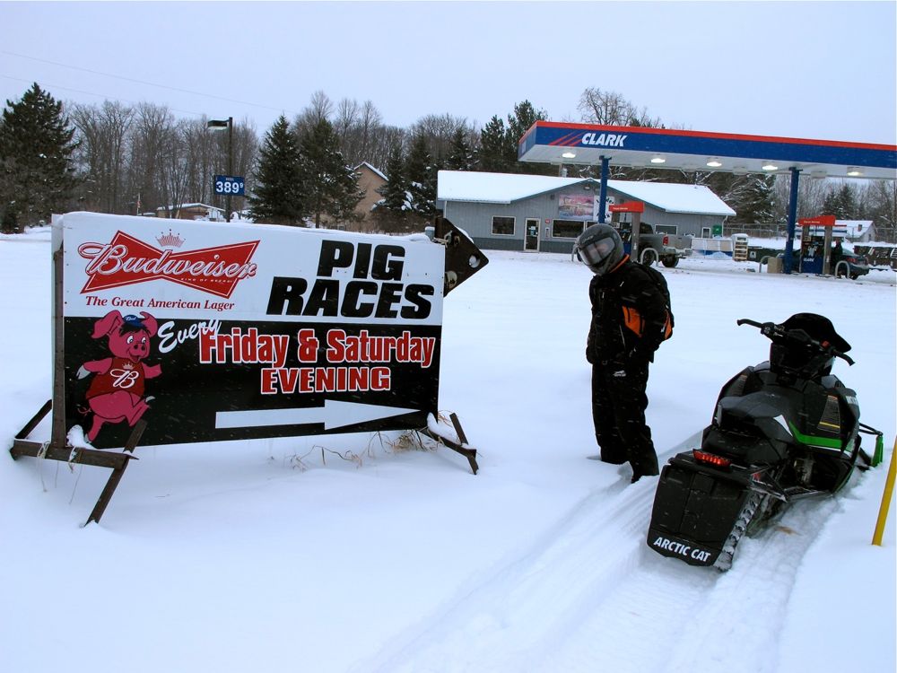 Pig races in Leader Minn. Part of the Arctic Cat adventure. Photo by ArcticInsider and Pat Bourgeois.