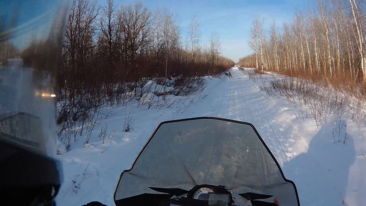 Ross Spoonland's 334-mile Arctic Cat snowmobile ride.