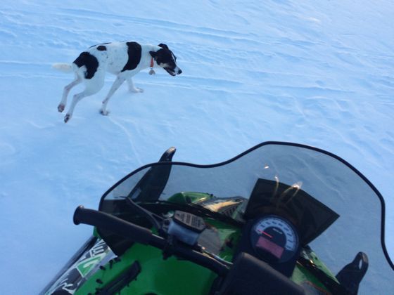 #everydaysledder, Arctic Cat and riding snowmobiles every day for a month. ArcticInsider.com